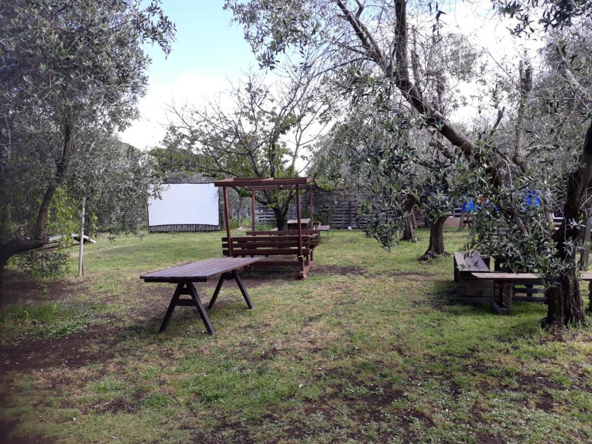 Bici Grill Decimo Miglio Aeroporto Ciampino Francigena Country House Εξωτερικό φωτογραφία
